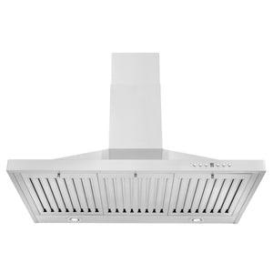 ZLINE 42" Convertible Vent Outdoor Approved Wall Mount Range Hood in Stainless Steel (KB-304-42)