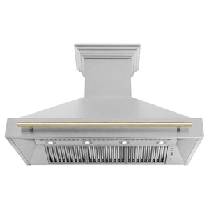 ZLINE 48" Autograph Edition Fingerprint Resistant Stainless Steel Range Hood with Gold Handle (8654SNZ-48-G)