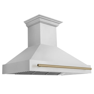 ZLINE 48" Autograph Edition Stainless Steel Range Hood with Stainless Steel Shell and Champagne Bronze Handle (8654STZ-48-CB)