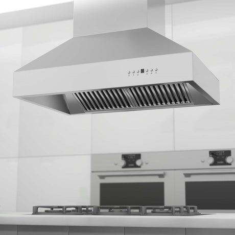 ZLINE 48" Ducted Island Mount Range Hood in Outdoor Approved Stainless Steel (697i-304-48)