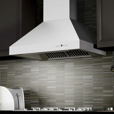 ZLINE 48" Outdoor Ducted Wall Mount Range Hood in Outdoor Approved Stainless Steel (667-304-48)